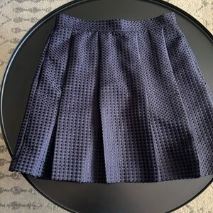 ✨ Ann Taylor Navy Blue/Black Embossed Polka Dot Pleated Skirt - Office/ Formal ✨